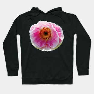 Large Pink Poppy Hoodie